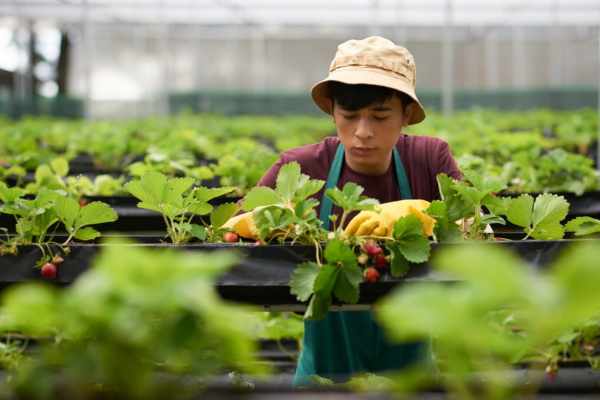 Malaysia Productivity Grant | BizMatch - Malaysia Business Matching Platform background picture - BeanSE BizMatch