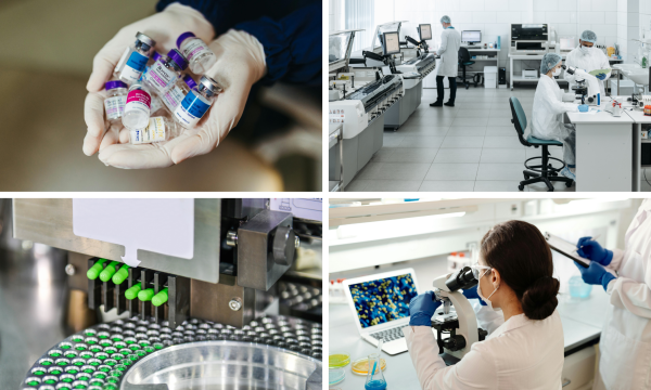 AI Productivity Roadmap for Pharmaceutical