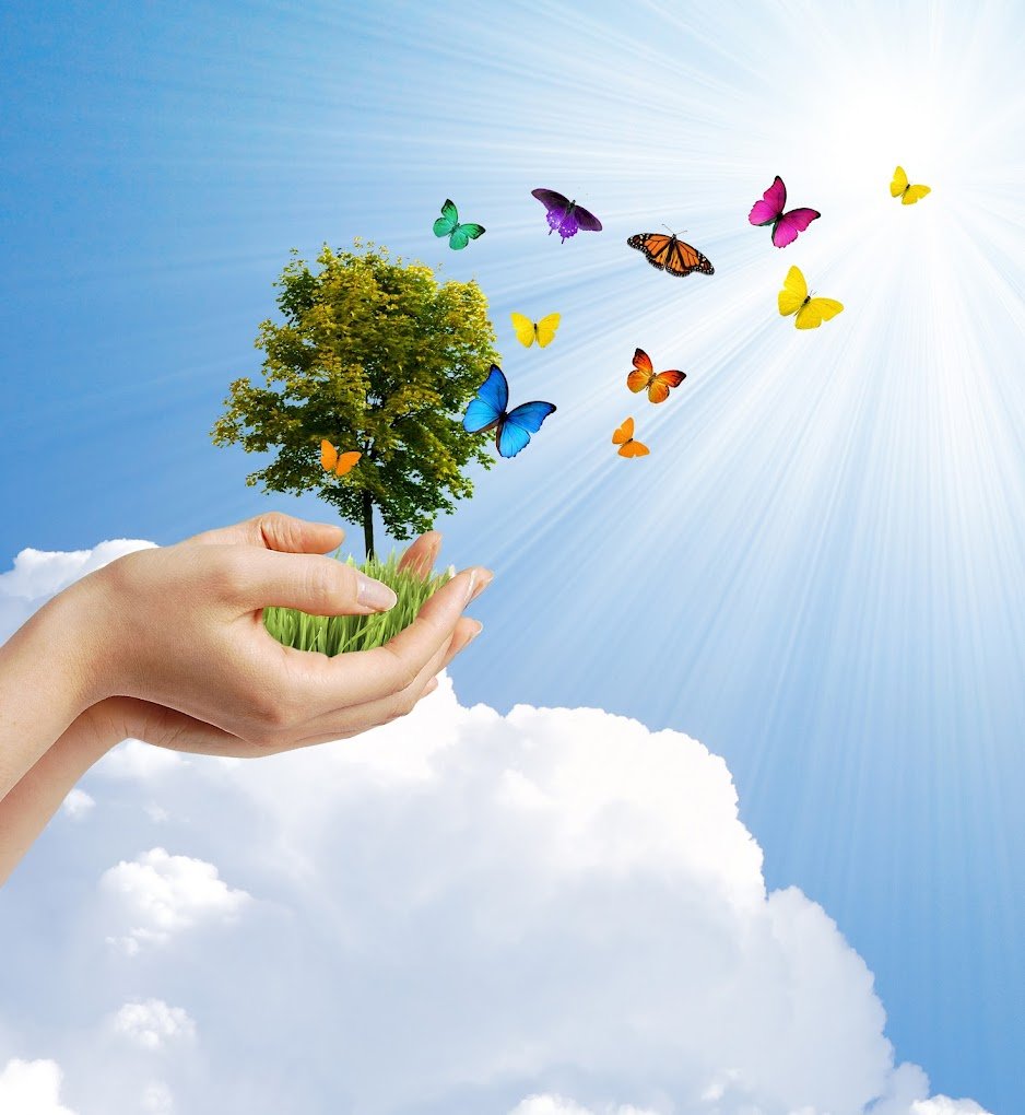 Enrich Counselling and Therapy Centre